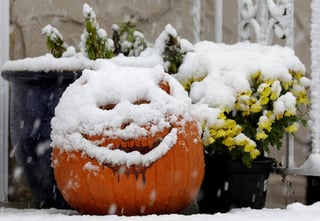 snowy_pumpkin.jpg